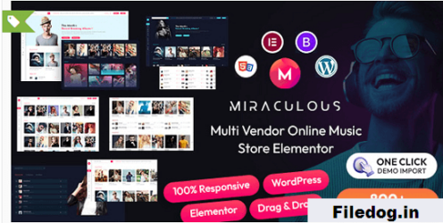 Miraculous - Multi Vendor Online Music Store Elementor WordPress Theme
