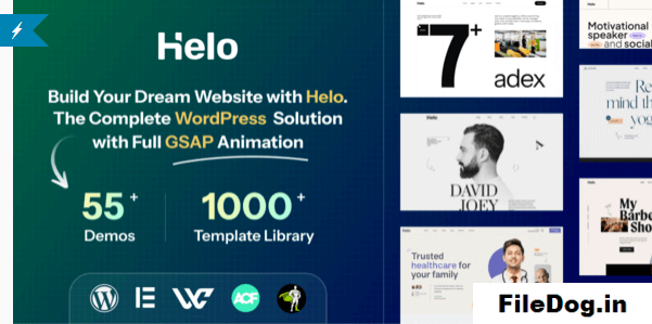 Helo Multi-Purpose Elementor WordPress Theme