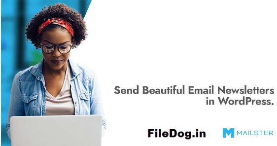 Mailster - Email Newsletter Plugin for WordPress