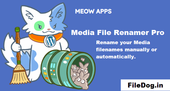 Media File Renamer