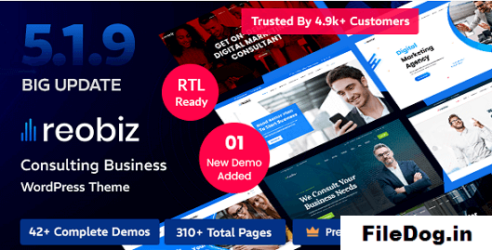 Reobiz - Consulting Business WordPress Theme