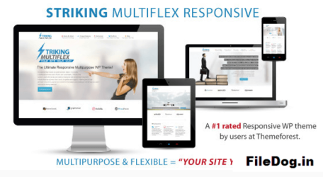 Striking - MultiFlex & Ecommerce Responsive WP Theme
