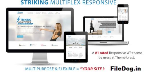 Striking - MultiFlex & Ecommerce Responsive WP Theme